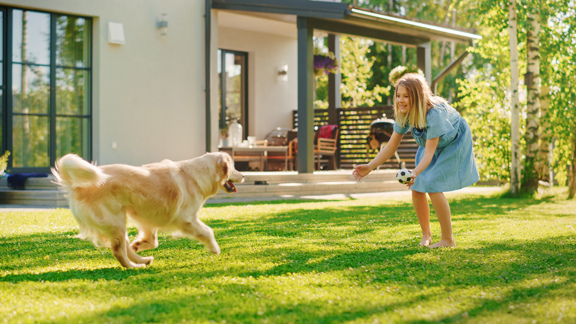 Professional Dog Grooming Services | Invisible Fencing